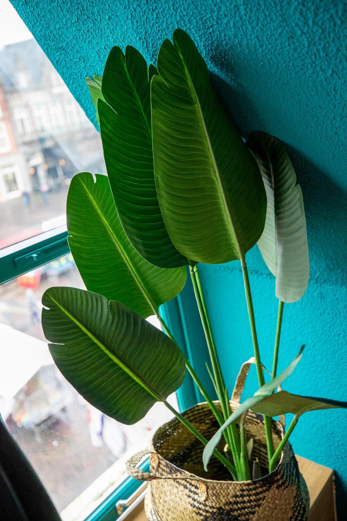 Bambu Sleep Boutique Hotel Haarlem Quarto foto